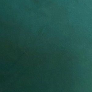 LuLaroe TC Leggings 12-18 solid forest green